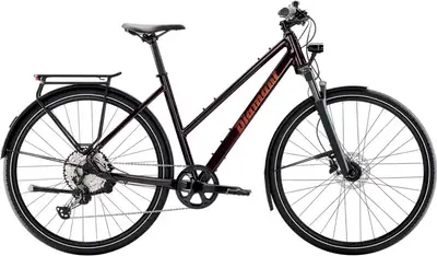 2021 Trek Dual Sport 4 – Specs, Comparisons, Reviews – 99 Spokes