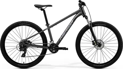 自転車本体 [2019] Bianchi Duel 27.0 2019 Bianchi Duel 27.S – Spécifications, comparaisons, avis