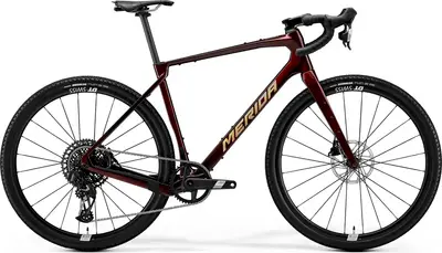 【ほぼ完成車】RIDLEY Arena Carbon　Track SMサイズ ほぼ完成車】RIDLEY Arena Carbon Track SMサイズ