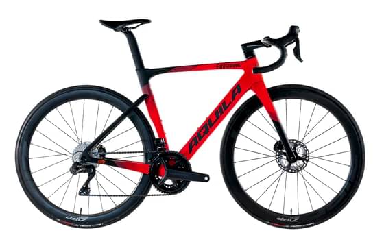 AQUILA Equipe EVO - R8170 Di2