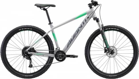 AVANTI Montari 2