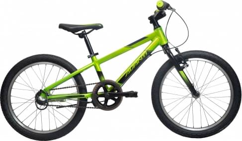 Avanti Shadow 20i
