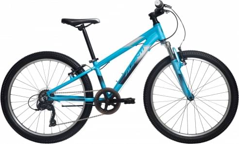 AVANTI Spice 24"