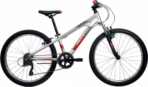 Avanti Shadow 24"