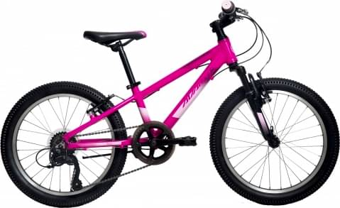 Avanti Spice 20"