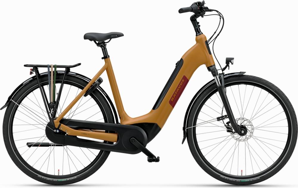 Batavus Altura E-go Power Pro BES2