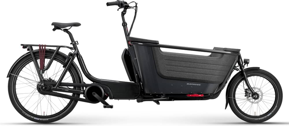 Batavus Fier 2
