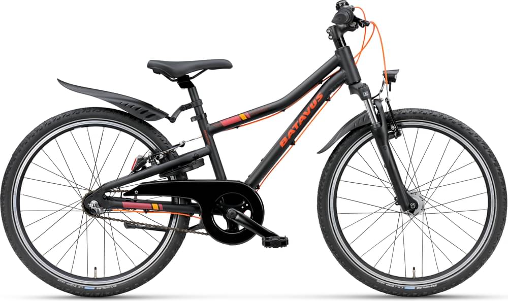 Batavus Booster 24 inch