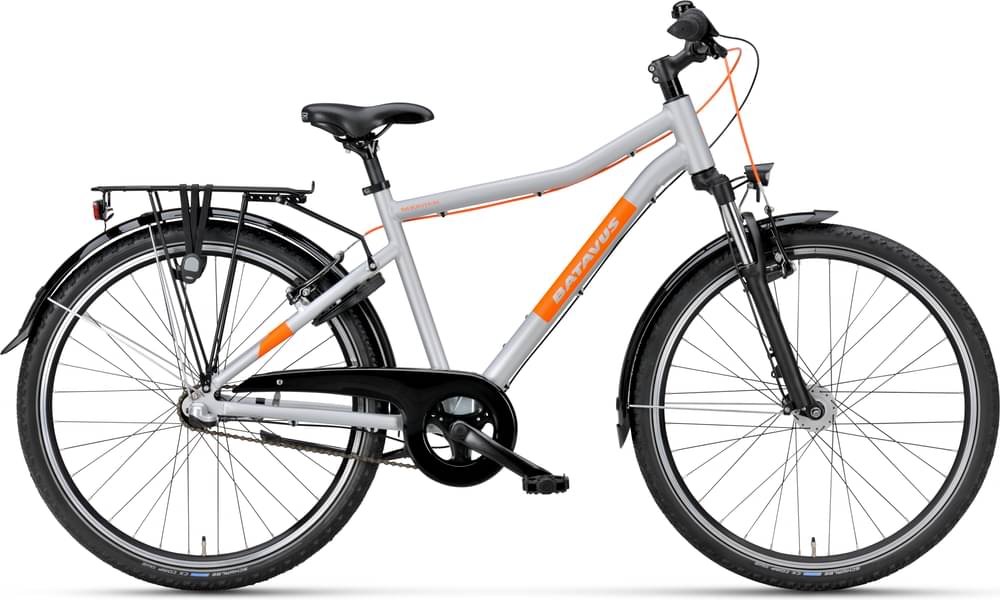Batavus Booster 26 inch