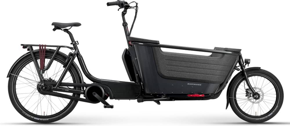 Batavus Fier 2