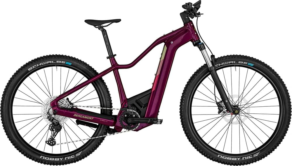Bergamont E-Revox Pro FMN