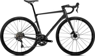 BERRIA BELADOR ELITE
