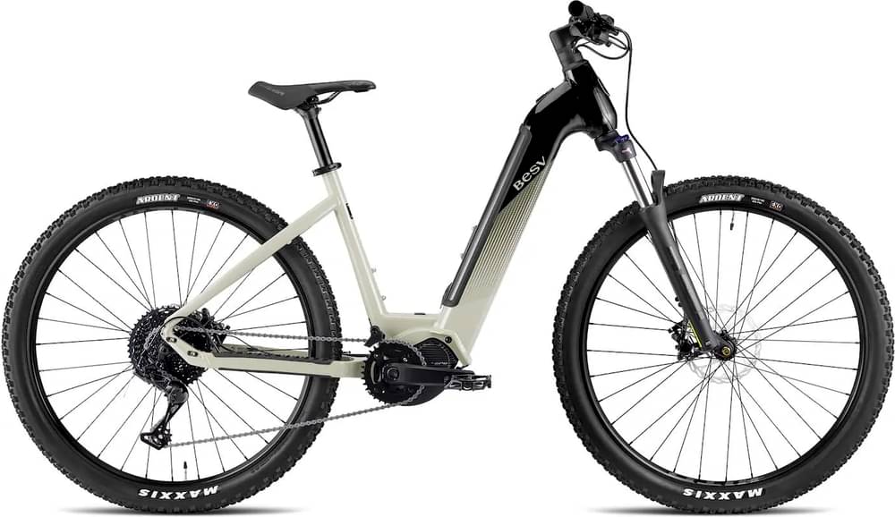 BESV TRX 1.3 LS