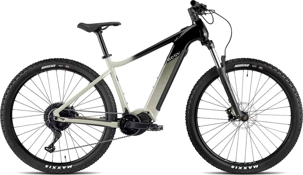 BESV TRX 1.3
