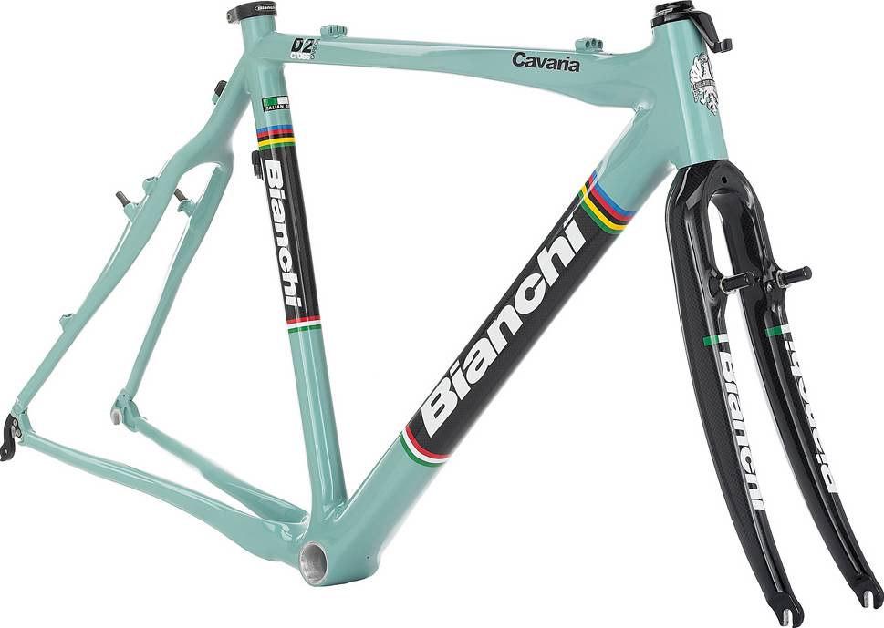 bianchi frameset sale