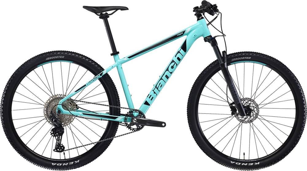 Bianchi magma 9.1 29インチ 5aed0.jpeg