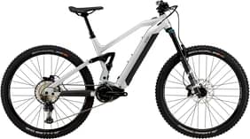 BIXS Sauvage-E15
