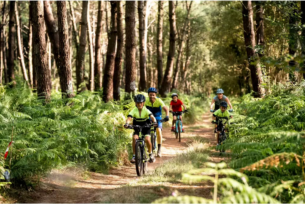 use your bike indoors exercise