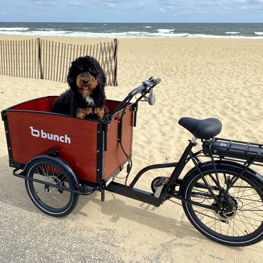 BUNCHBIKES The K9 4 - Upgraded Electric Cargo Bike For Dogs