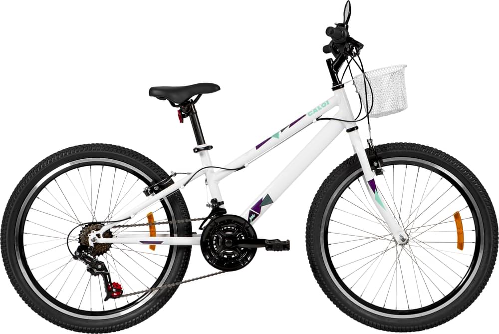 Caloi CECI 24