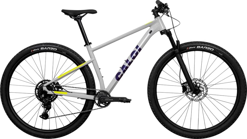 CALOI EXPLORER COMP SL