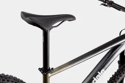 2021 Cannondale Trail SL 1 – Specs, Comparisons, Reviews – 99 Spokes