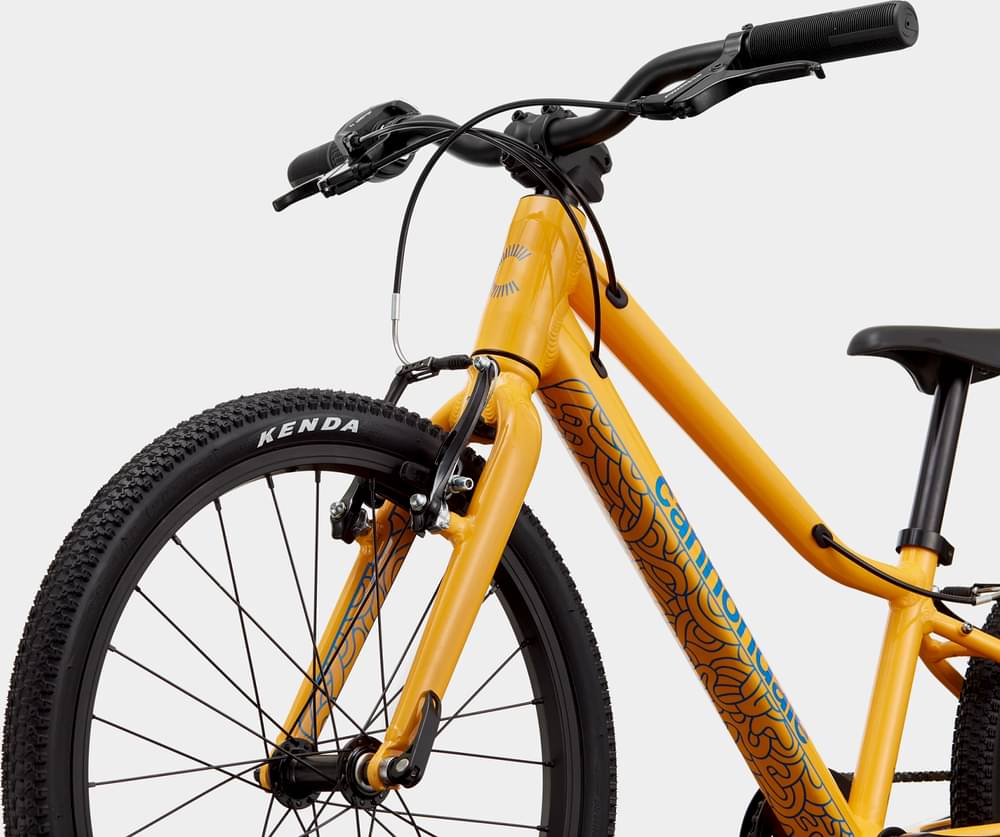 2022 Cannondale Kids Quick 20 – Specs, Comparisons, Reviews