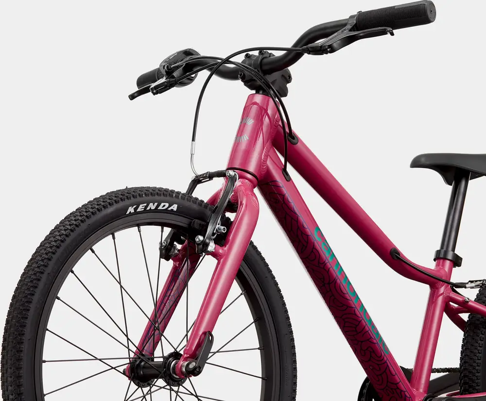2022 Cannondale Kids Quick 20 – Specs, Comparisons, Reviews – 99
