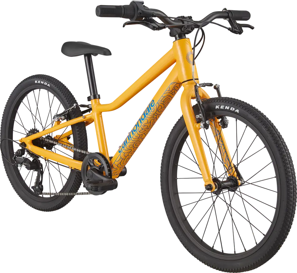 2022 Cannondale Kids Quick 20 – Specs, Comparisons, Reviews