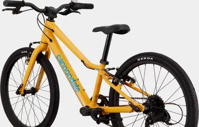 2022 Cannondale Kids Quick 20 – Specs, Comparisons, Reviews – 99