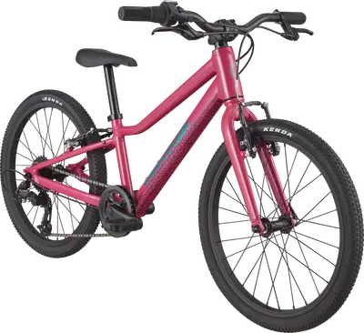 2022 Cannondale Kids Quick 20 – Specs, Comparisons, Reviews – 99