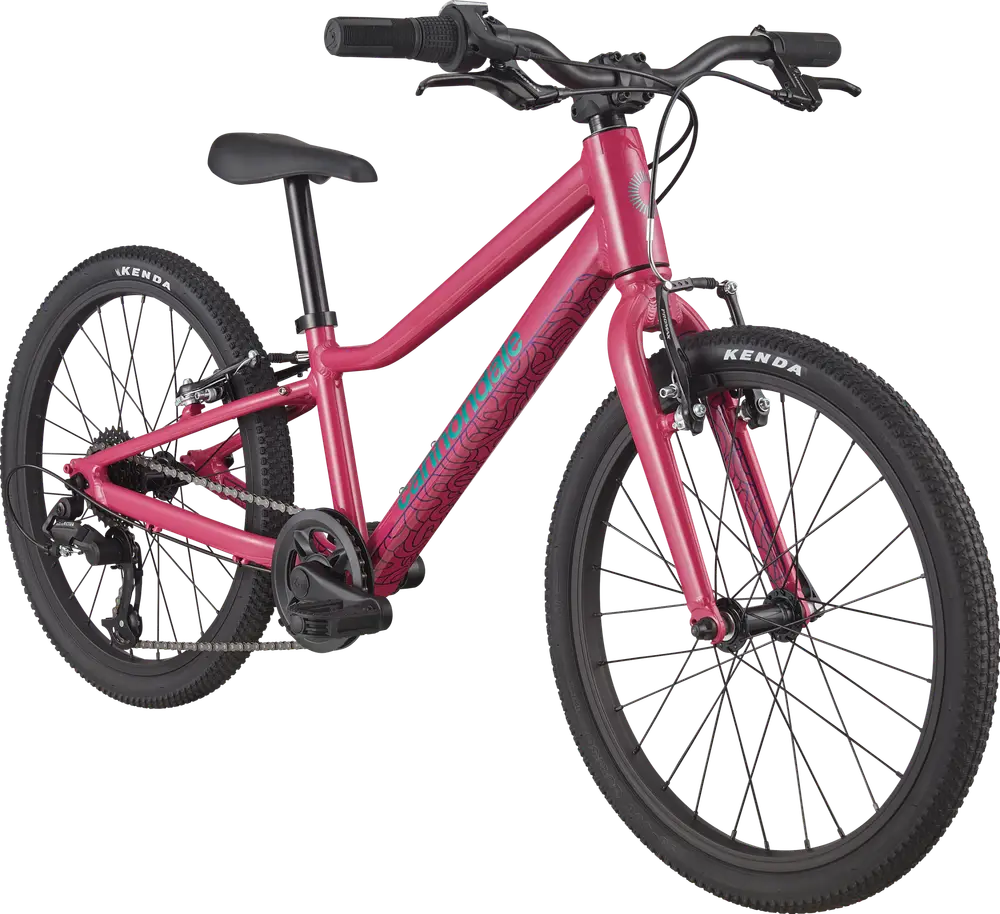 CANNONDALE Kids Quick 20 キッズ クイック 20 2021 Cannondale Kids Quick 20 Boy's – Specs, Comparisons