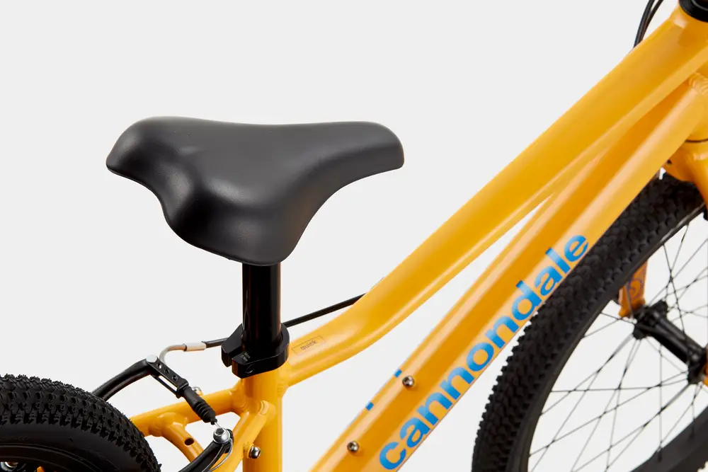 2023 Cannondale Kids Quick 20 – Specs, Comparisons, Reviews