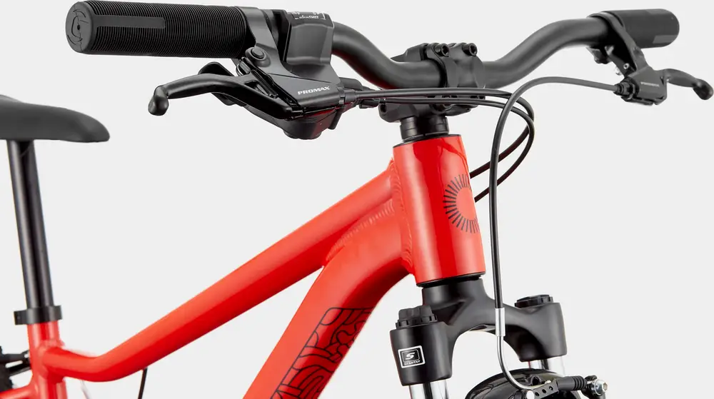 Cannondale Kids Trail Plus 24, mantis