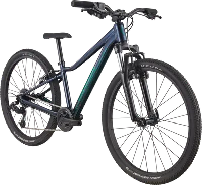 2023 Cannondale Kids Trail 24 – Specs, Comparisons, Reviews – 99