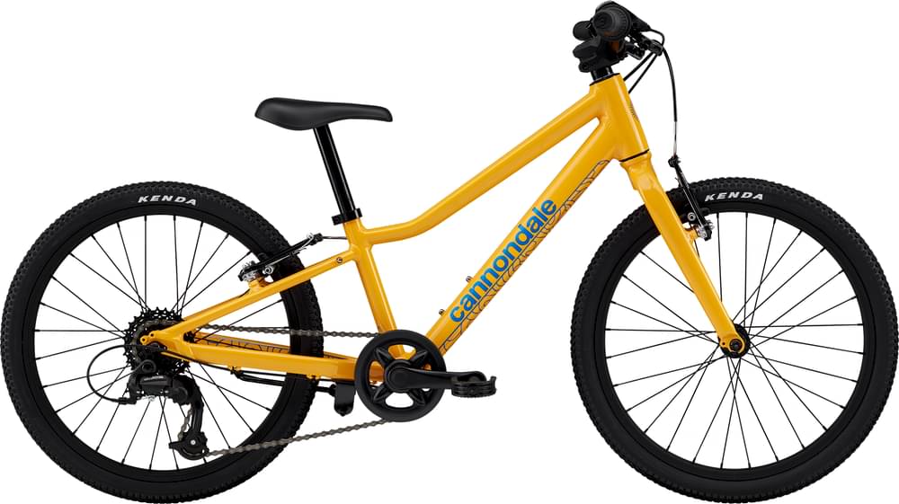 引き取り限定　cannondale キッズクイック24 Cannondale Kids Quick 24 2024 — Price & Specs | 2BX