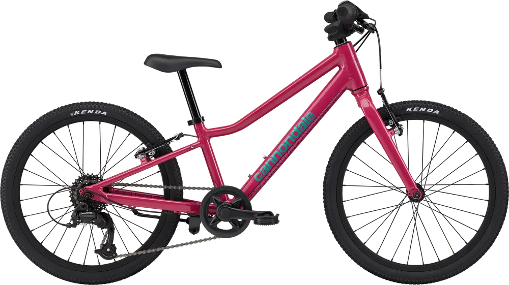 【Cannondale QUICK20】 Cannondale Quick 20 – Mike's Bikes