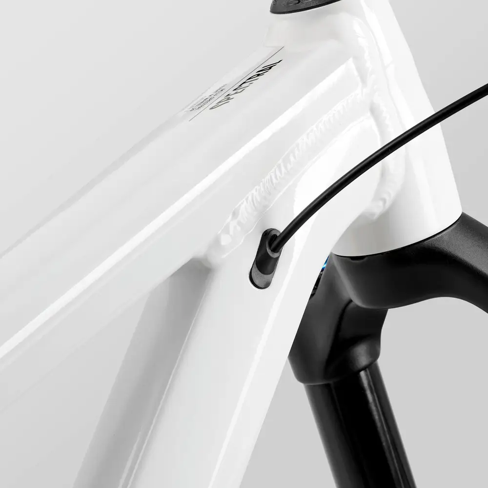 2023 Canyon Spectral 29 FW – Specs, Comparisons, Reviews – 99 Spokes