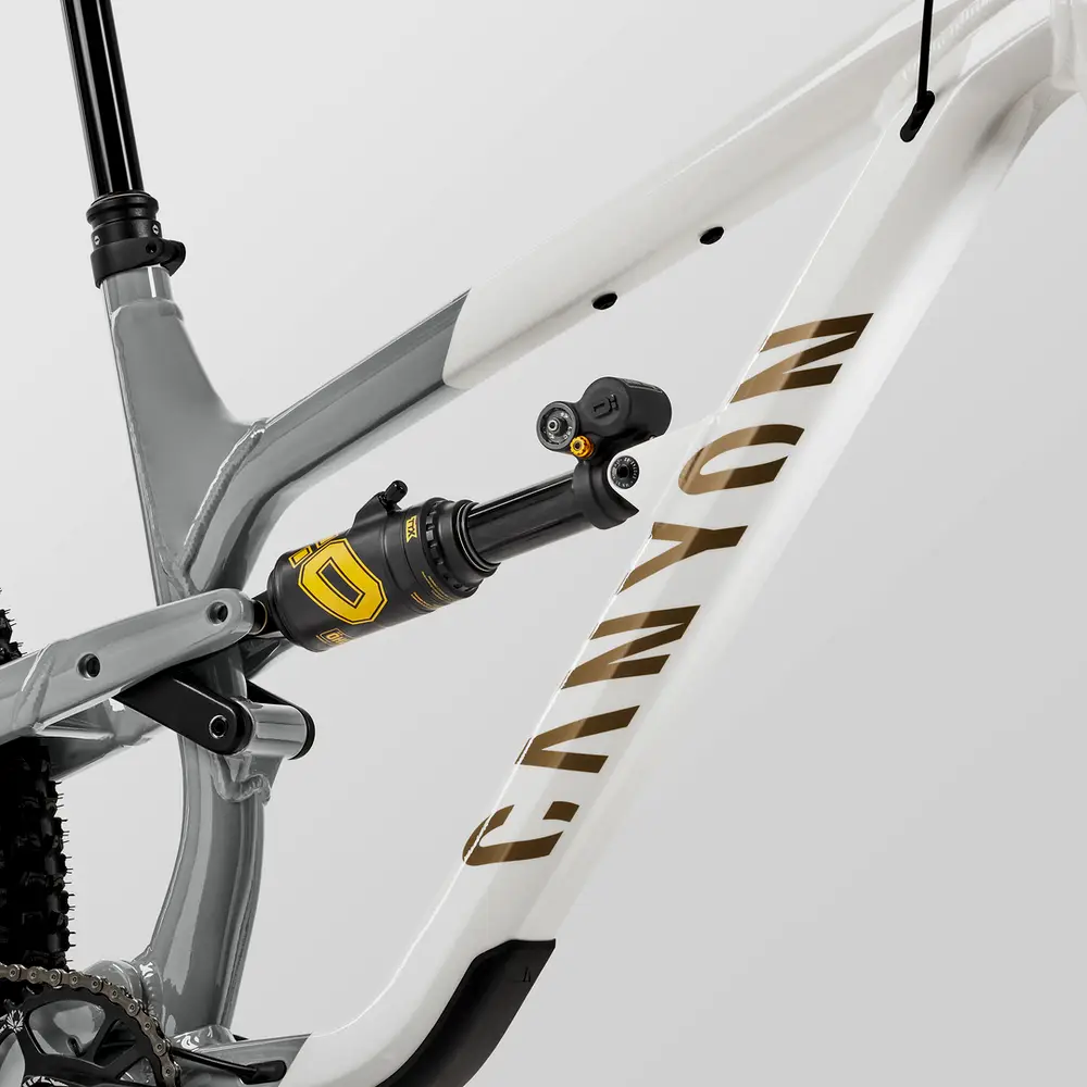 2023 Canyon Spectral 29 FW – Specs, Comparisons, Reviews – 99 Spokes