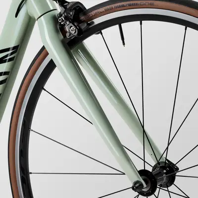 2024 Canyon Endurace 7 RB – Specs, Comparisons, Reviews – 99 Spokes