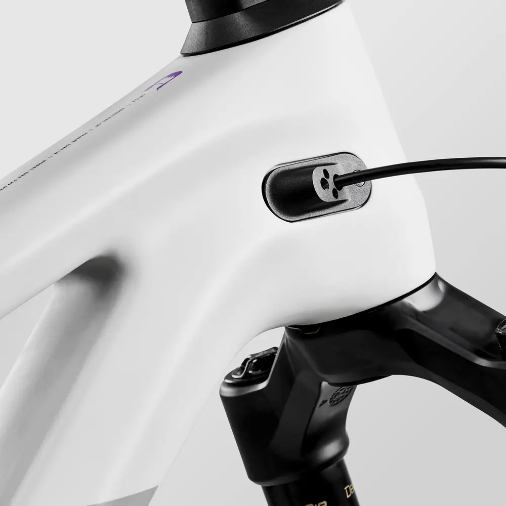 2024 Canyon Spectral Mullet CF 8 CLLCTV – Specs, Comparisons