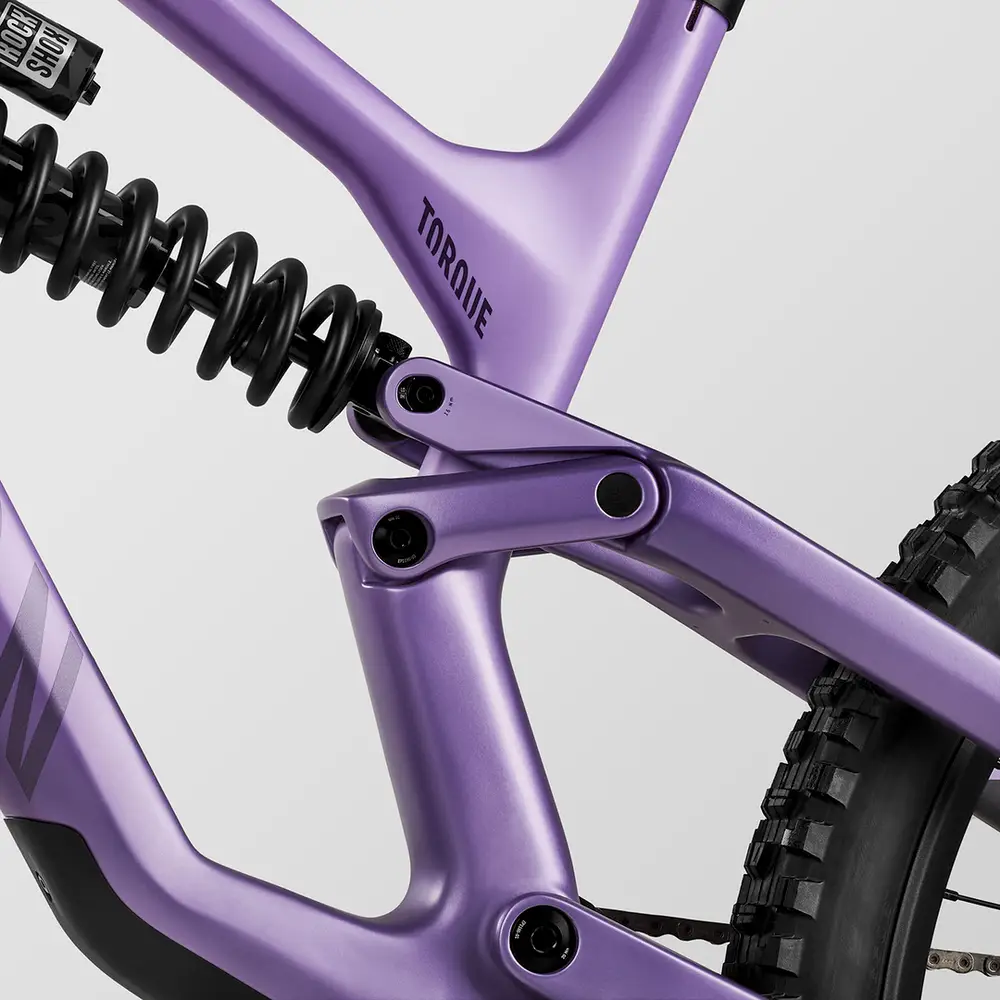 CANYON TORQUE MULLET フレーム＋リアサス CANYON TORQUE MULLET フレーム＋リアサス 2023 Canyon Torque