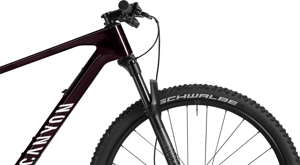 2025 Canyon Exceed CF 5 – Specs, Comparisons, Reviews – 99 Spokes