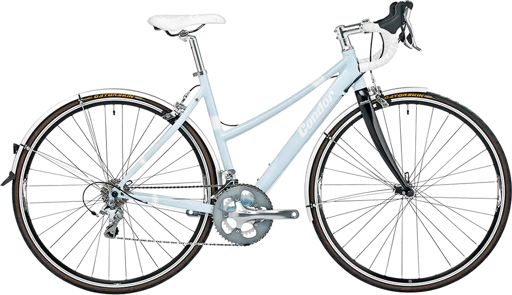 2023 Condor Italia Step Thru Frameset – Specs, Comparisons, Reviews ...