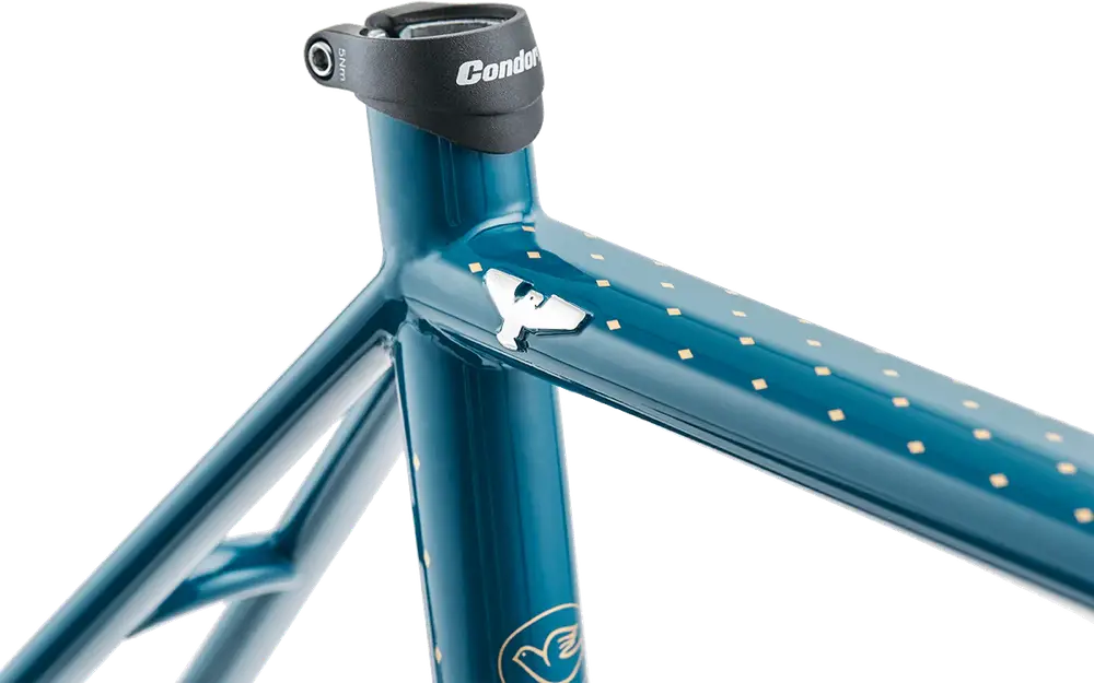 2023 Condor Super Acciaio Disc Frameset – Specs, Comparisons, Reviews ...