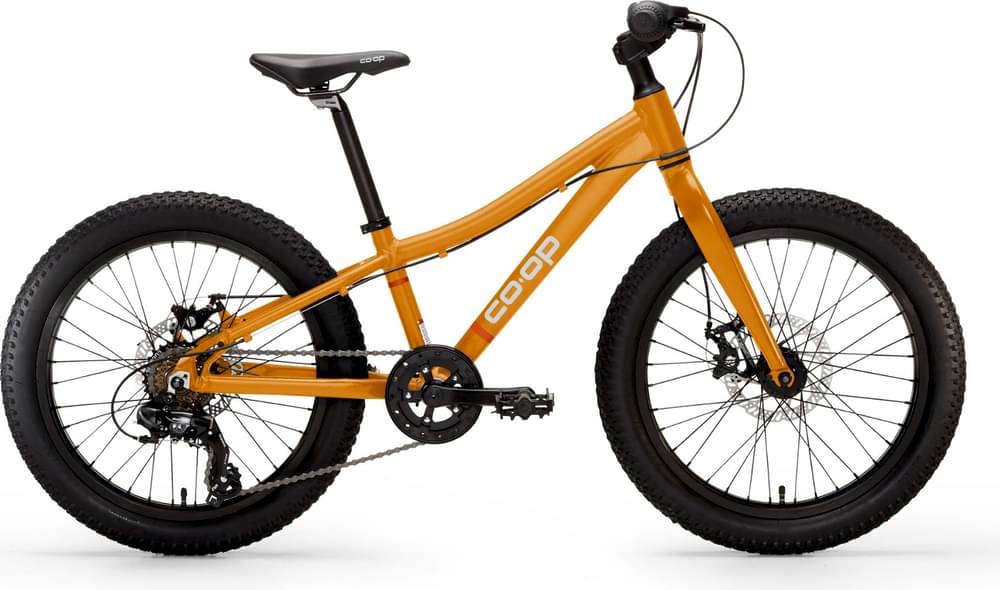 Coop REV 20 6-Speed Plus