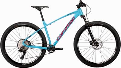 Corratec X-Vert Pro 2025