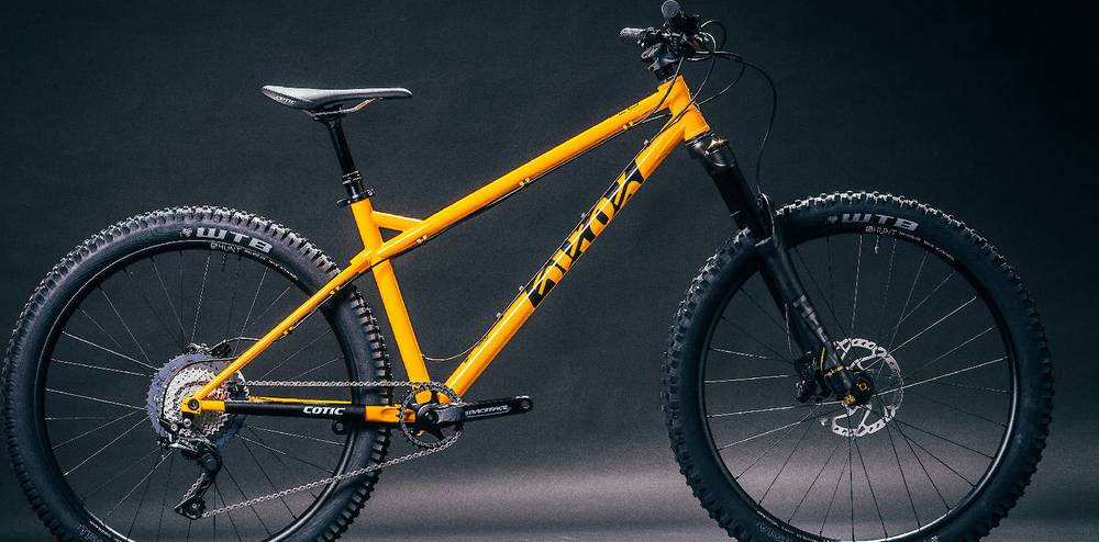 Cotic BFe Gold GX Eagle