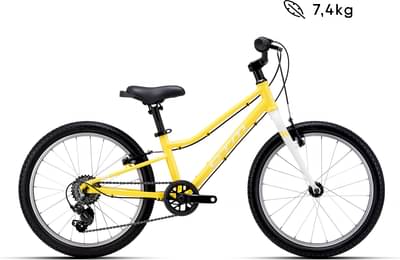 Ctm SLY 20"
