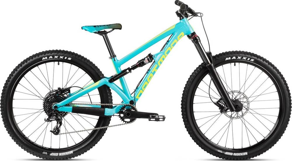 Dartmoor Blackbird Junior